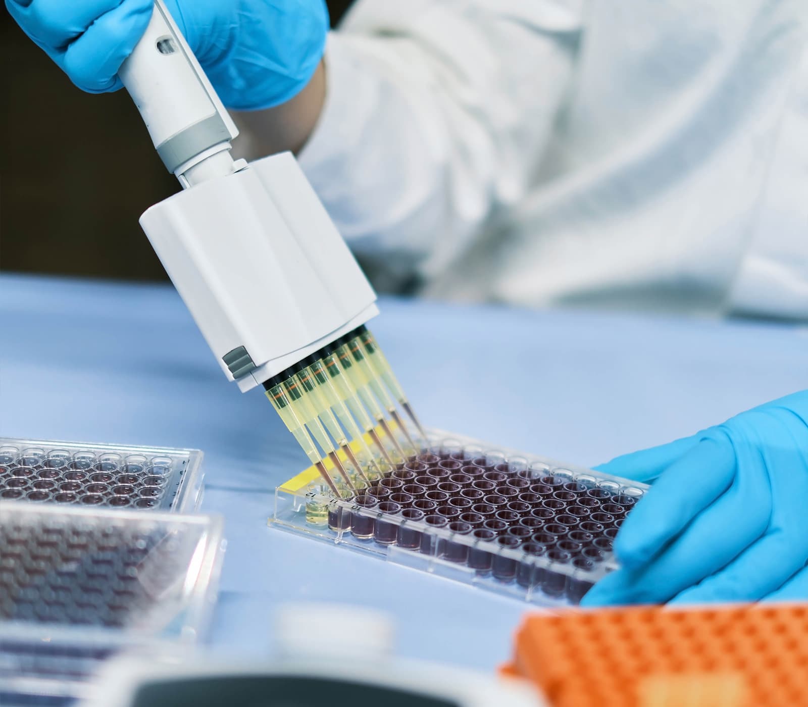 Enzo target validation tools — functional assays and pathway modulation reagents