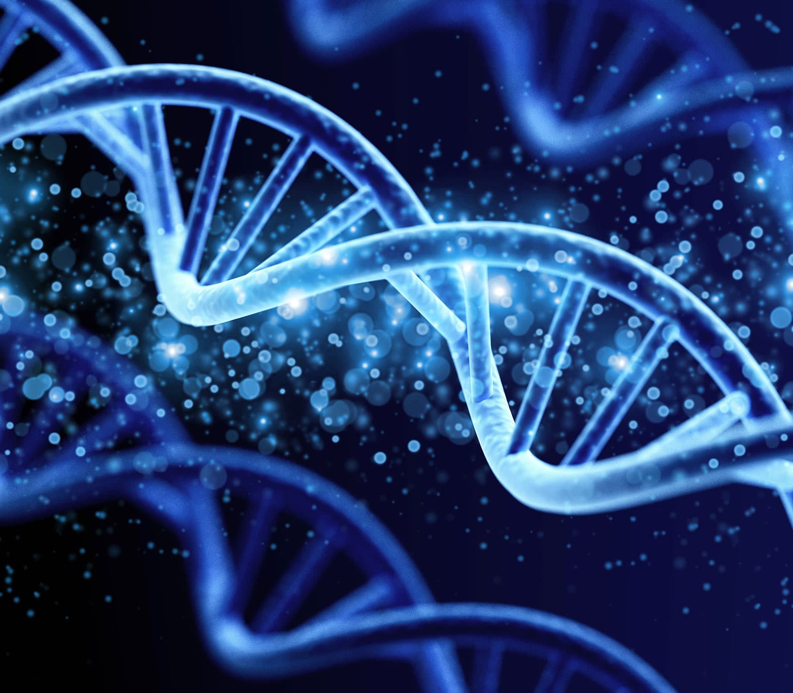 Enzo Therapeutics gene technologies — nucleic acid platforms, AMPIVIEW diagnostics, and SENTINEL molecular beacons