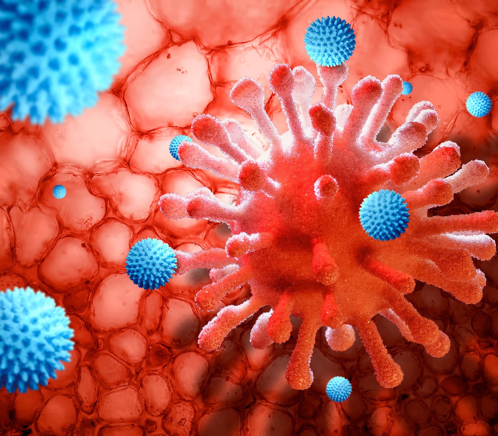 Enzo Therapeutics immune regulation platform — Alequel and Optiquel clinical programs for autoimmune diseases and transplant tolerance