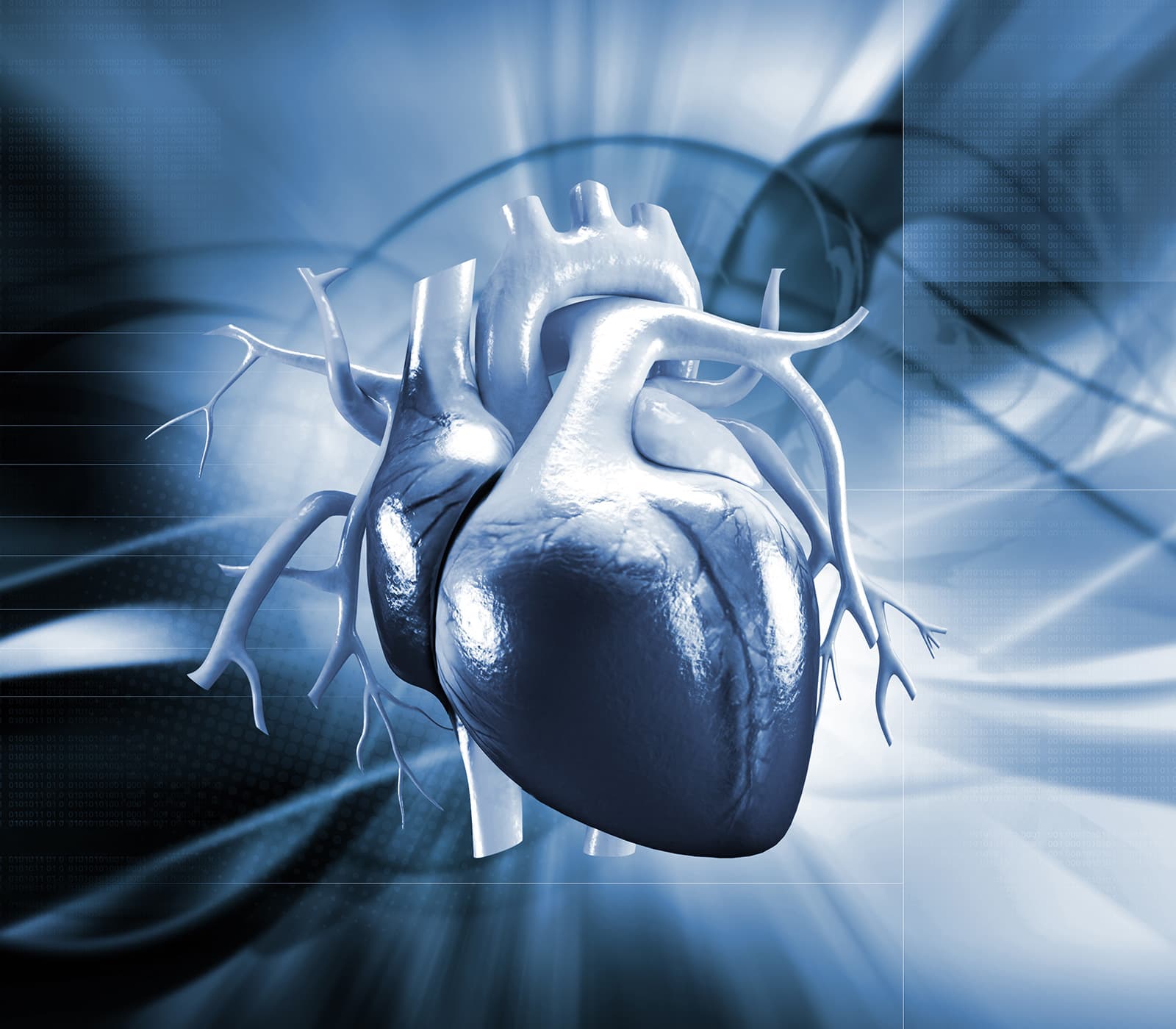 Cardiotoxicity — biopharma development tools