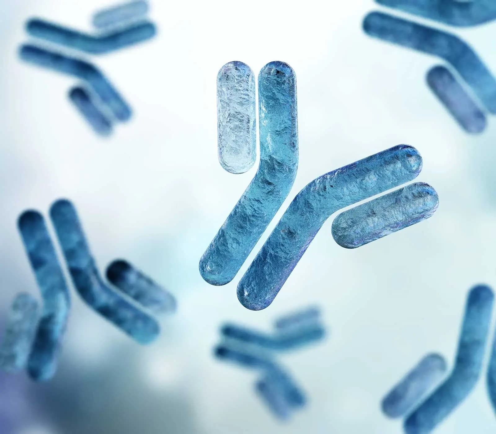 Custom Antibody Services — Enzo Life Sciences