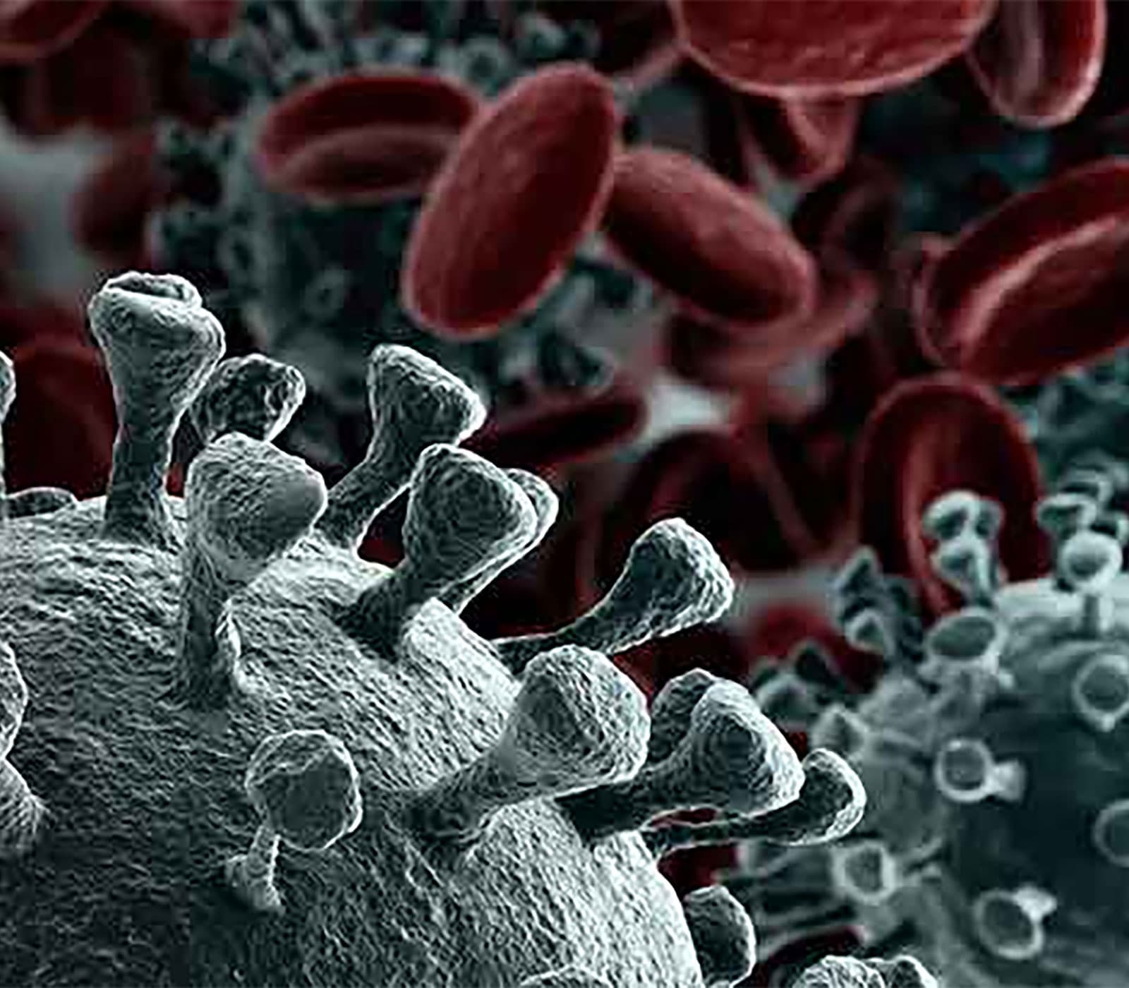 Coronavirus research tools — SARS-CoV-2 detection, antibodies, and antivirals