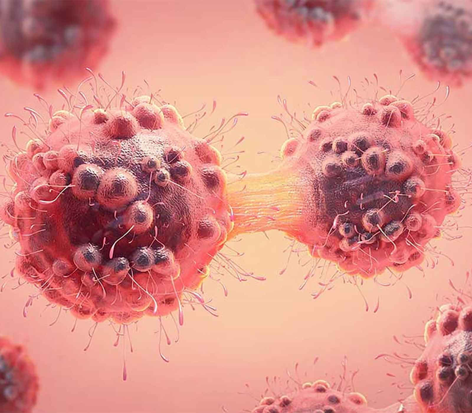 Immuno-Oncology research tools
