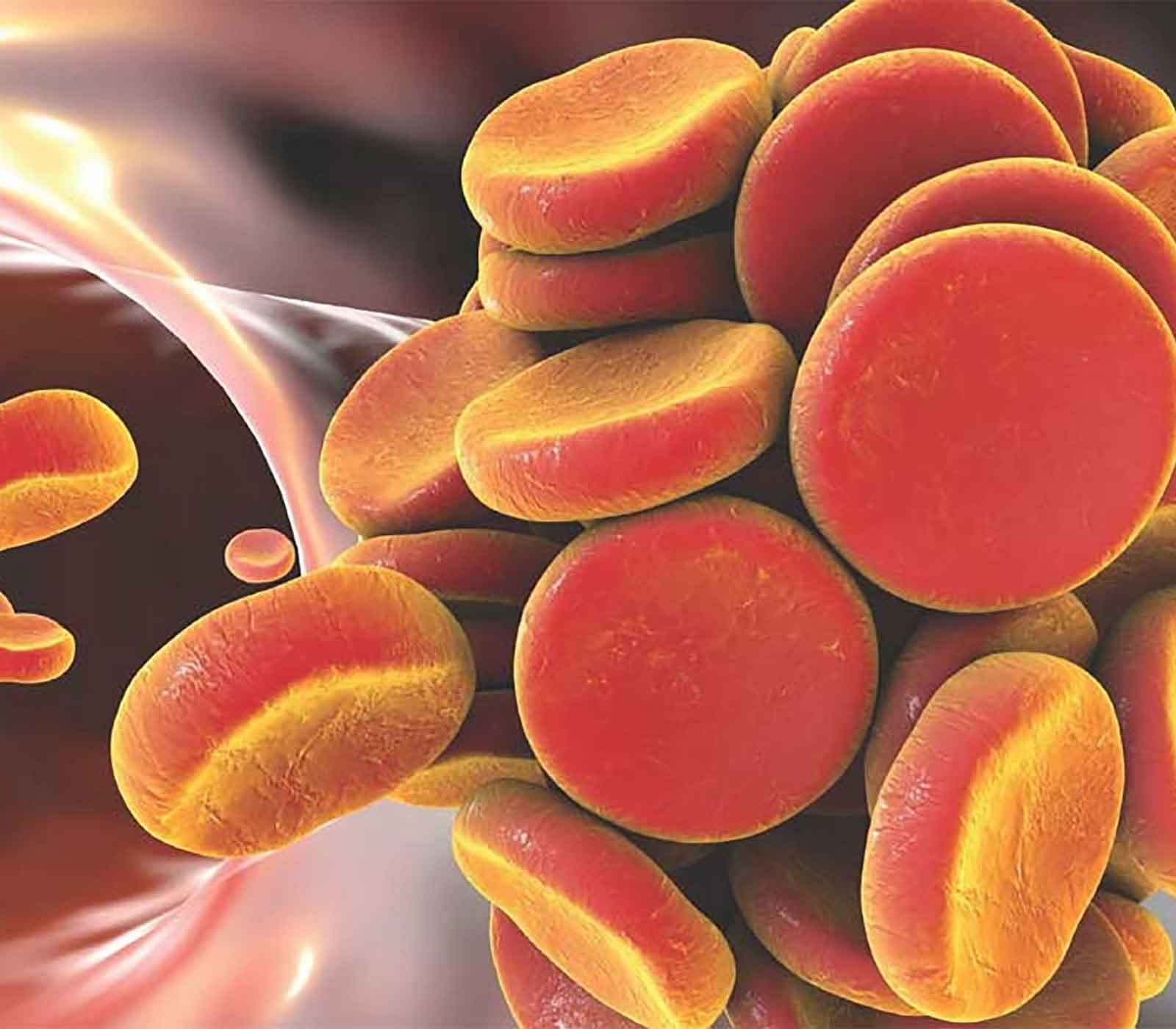 Inflammation and Disease research tools