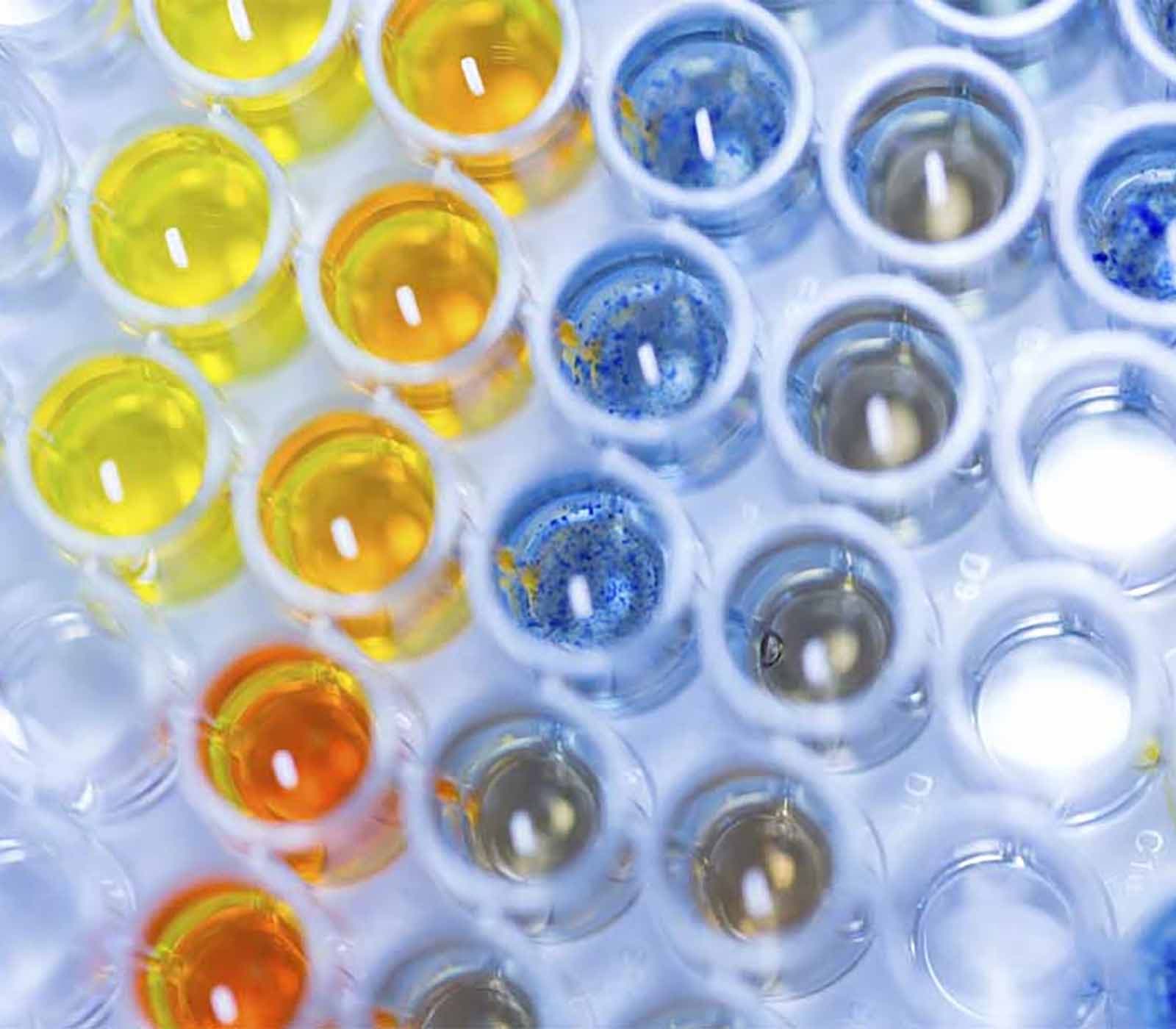 Prostaglandin Analysis research tools