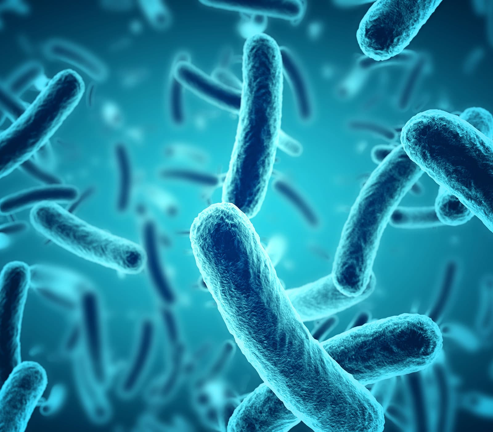 Toll-Like Receptors research tools
