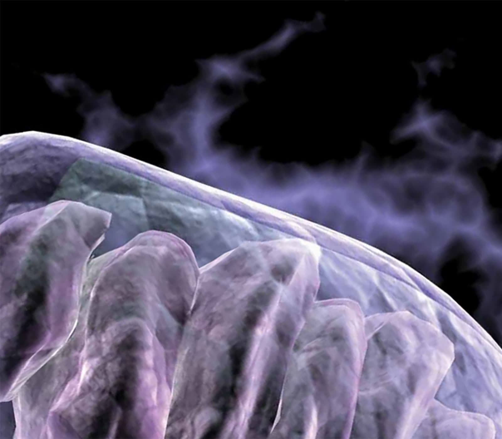 Detect & Quantify Biomarkers of Oxidative Stress research tools