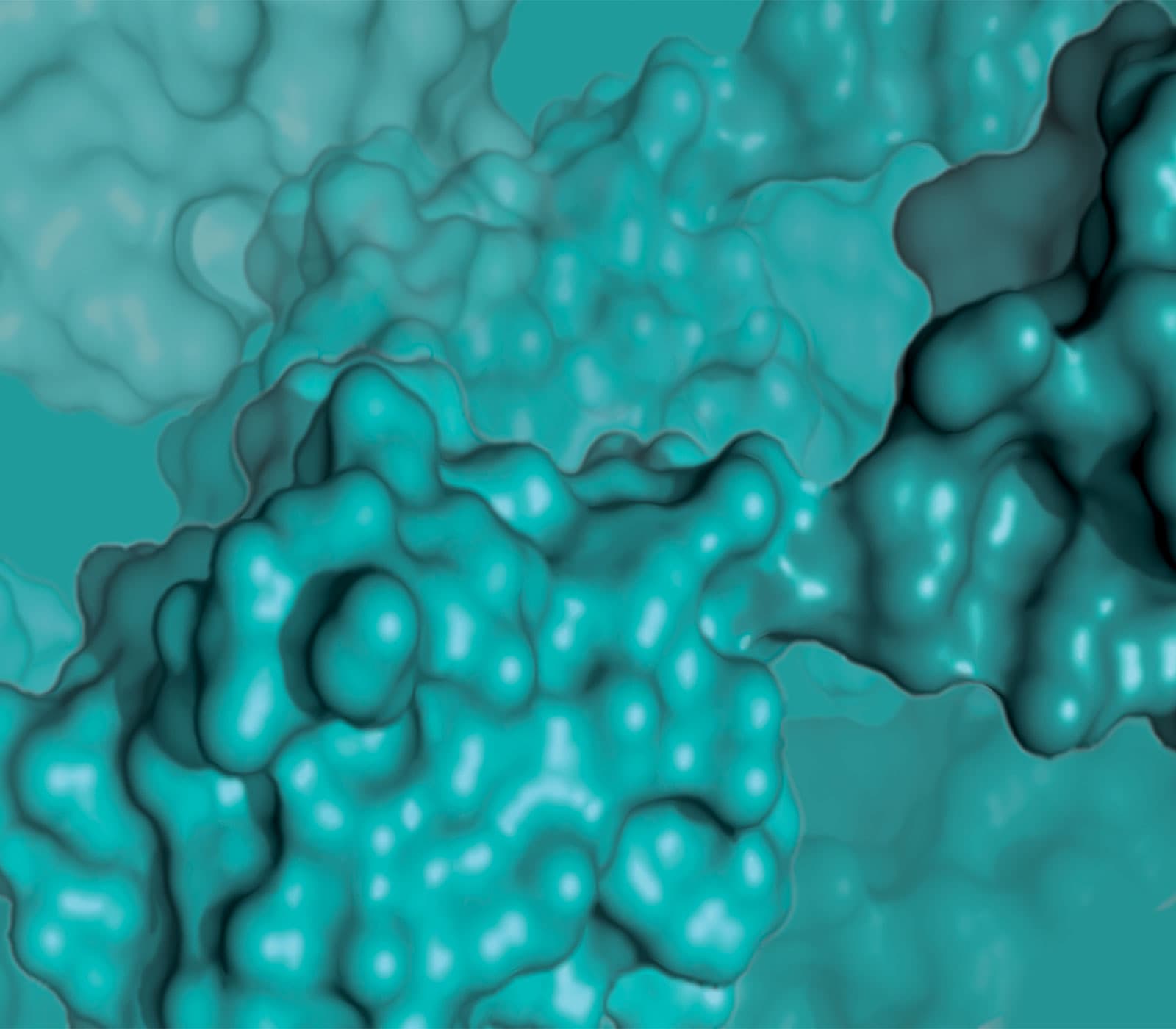 Ubiquitin & UBL Signaling research tools