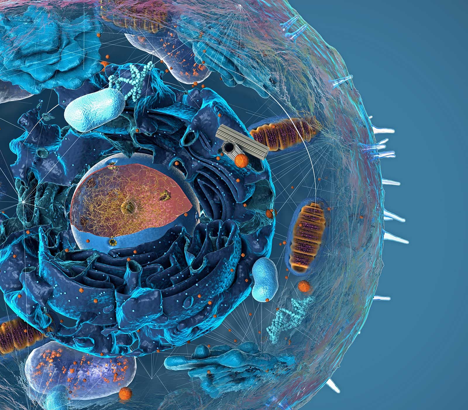 Cellular Detection research tools